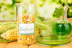 Northern Ireland biofuel availability